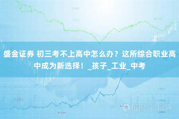盛金证券 初三考不上高中怎么办？这所综合职业高中成为新选择！_孩子_工业_中考