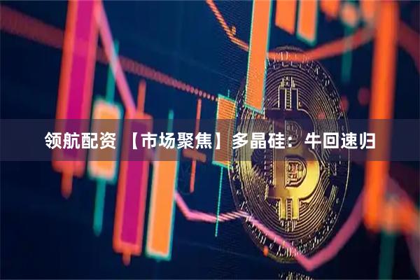 领航配资 【市场聚焦】多晶硅：牛回速归