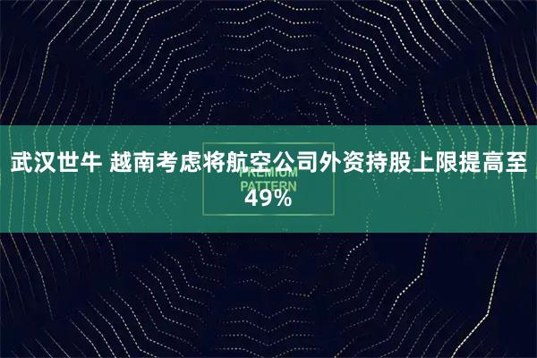 武汉世牛 越南考虑将航空公司外资持股上限提高至49%